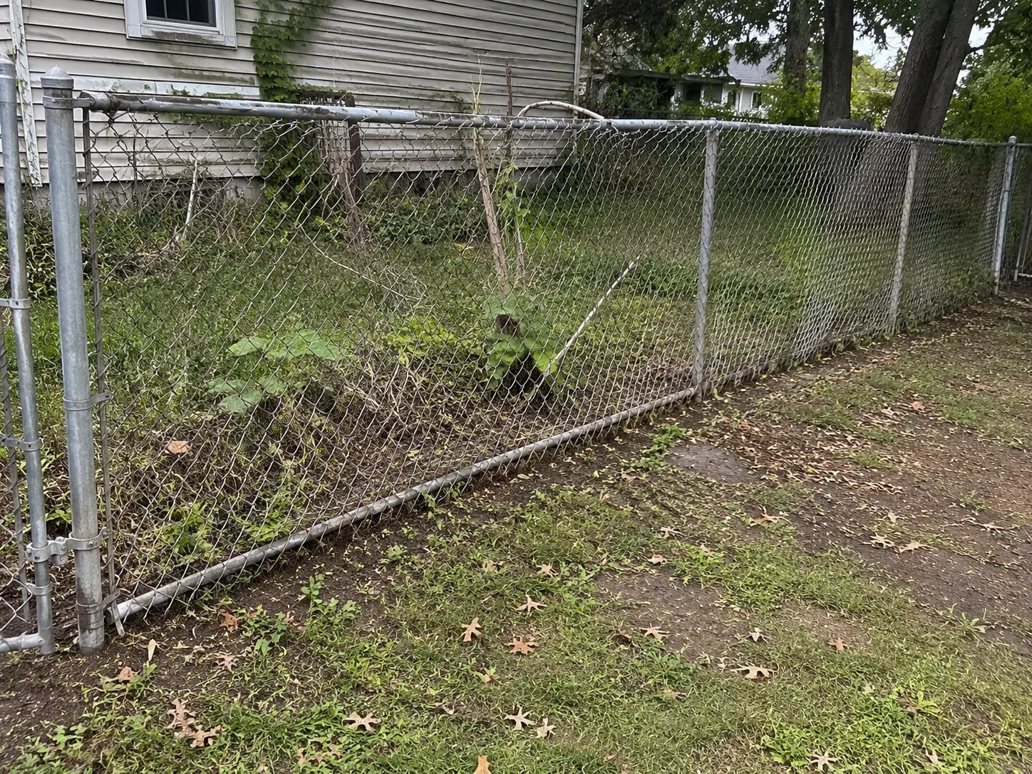 Aged chain link fence along a property line