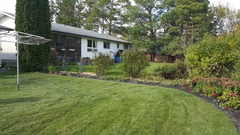 Cleared lawn where the fence stood after removal and cleanup